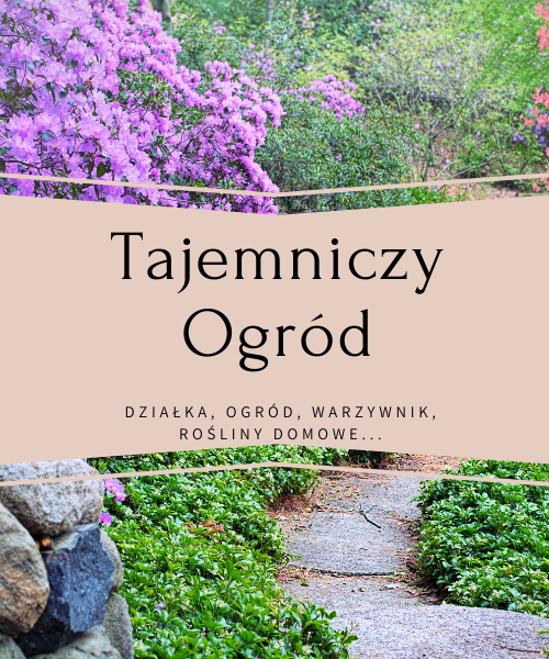 Tajemniczy ogród